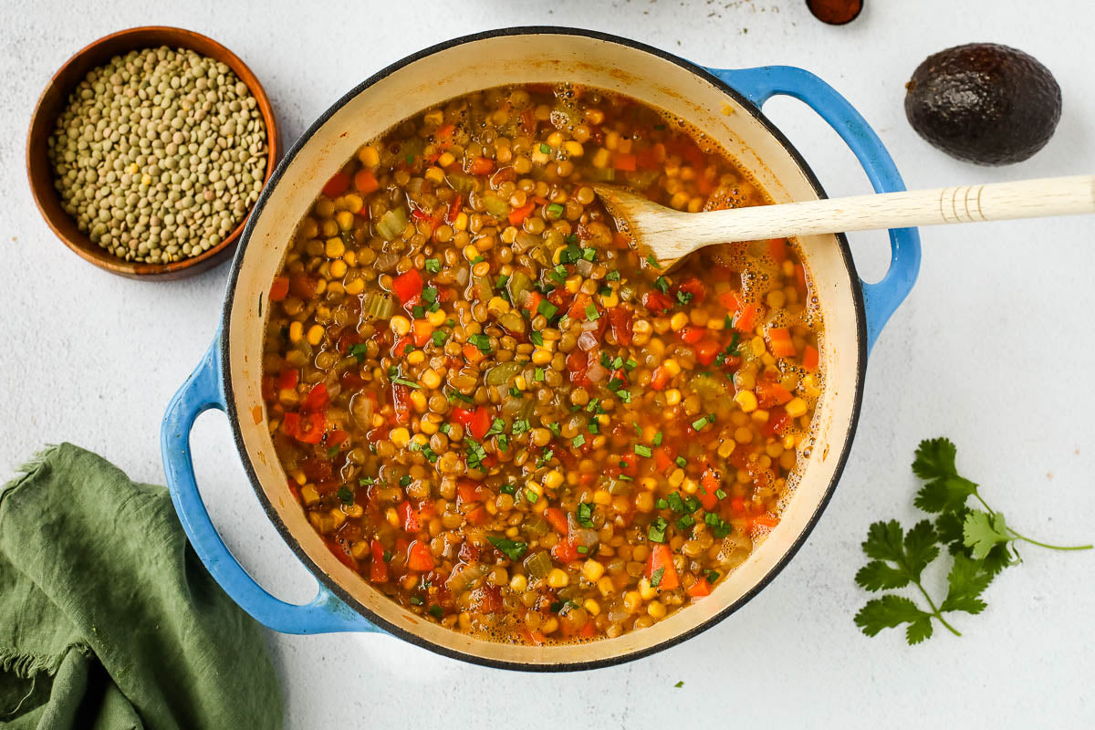 Mexican Lentil Soup Recipe Kit