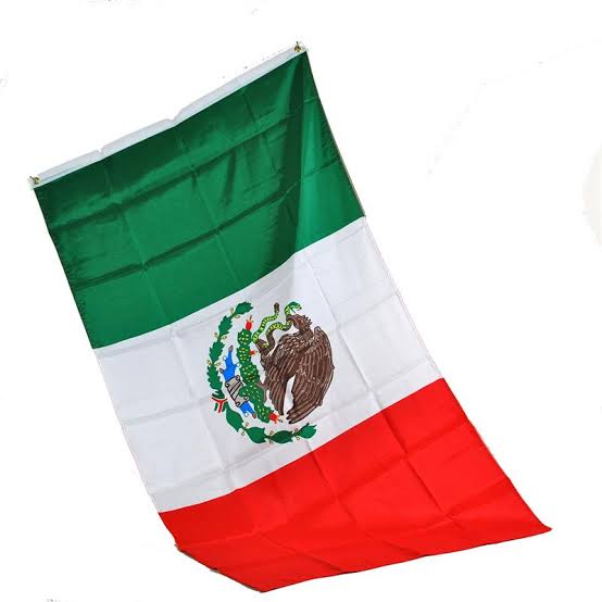 Bolsillo para tortillas